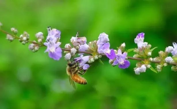 1665545044153169.jpeg 8bcf4939dc534dd7af3169bed0ecec23 (1).jpeg